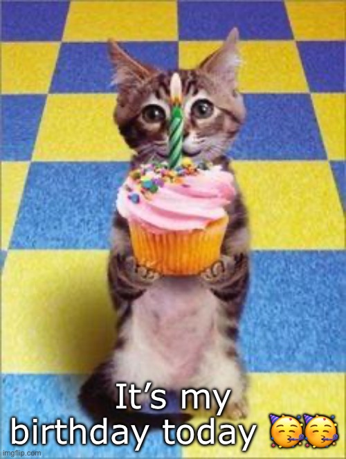17 | It’s my birthday today 🥳🥳 | image tagged in happy birthday cat,msmg | made w/ Imgflip meme maker
