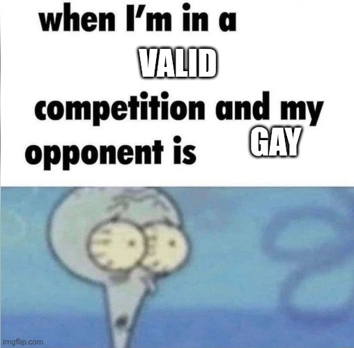whe i'm in a competition and my opponent is | VALID; GAY | image tagged in whe i'm in a competition and my opponent is | made w/ Imgflip meme maker