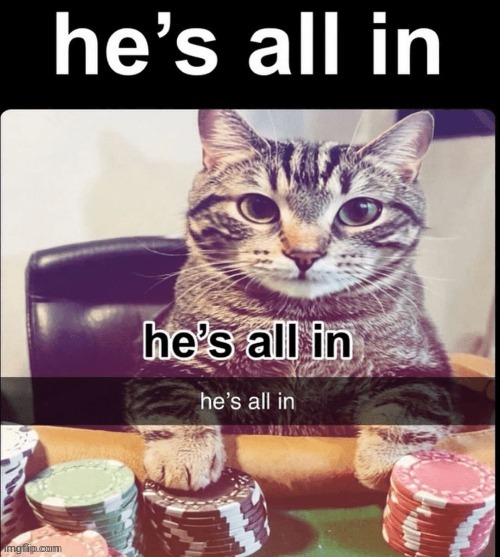 He's all in | image tagged in he's all in | made w/ Imgflip meme maker