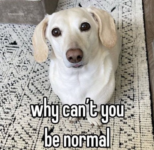 Why can't you be normal | image tagged in why can't you be normal | made w/ Imgflip meme maker