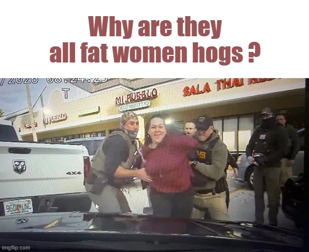 varnstarkbittlewater088It seems that the primary anti I.C.E. protestors are large females.  C its not just me seeing it | Why are they all fat women hogs ? | made w/ Imgflip meme maker