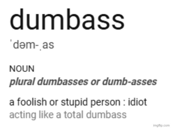 dumbass definition | image tagged in dumbass definition | made w/ Imgflip meme maker