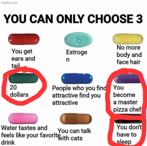 Easy choice ngl | image tagged in you can only choose 3 | made w/ Imgflip meme maker