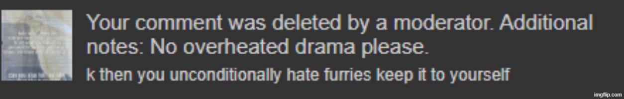 antifurries stream on some bs | made w/ Imgflip meme maker