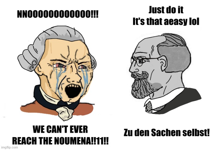 phenomenology | image tagged in philosophy,comedy,soyboy vs yes chad,history,historical meme | made w/ Imgflip meme maker