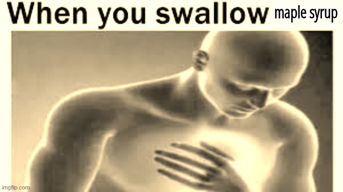 maple syrup | made w/ Imgflip meme maker