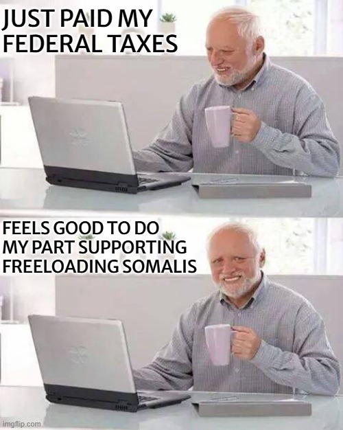Freeloaders | JUST PAID MY FEDERAL TAXES; FEELS GOOD TO DO MY PART SUPPORTING FREELOADING SOMALIS | image tagged in memes,hide the pain harold | made w/ Imgflip meme maker