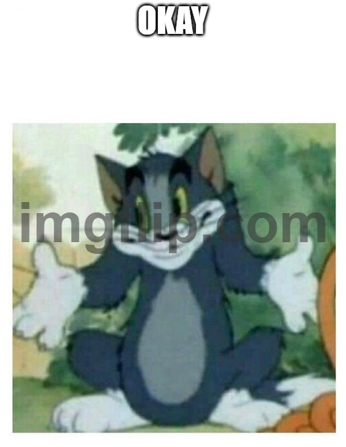 IDK Tom Template | OKAY | image tagged in idk tom template | made w/ Imgflip meme maker