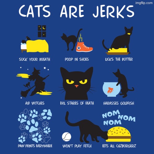 This Sounds About Right | image tagged in cats,funny cats,jerks,the truth teller,funny memes,scumbags | made w/ Imgflip meme maker