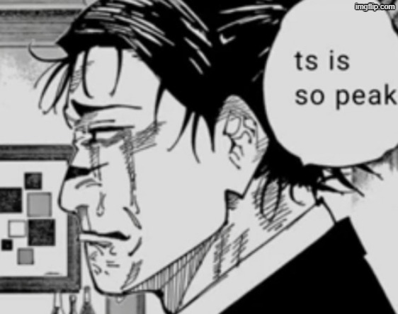 Ts is so peak | image tagged in ts is so peak | made w/ Imgflip meme maker