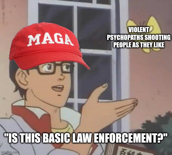 MAGA is brainwashed into thinking arbitrary violence is justified just because it's done by a government agent | VIOLENT PSYCHOPATHS SHOOTING PEOPLE AS THEY LIKE; "IS THIS BASIC LAW ENFORCEMENT?" | image tagged in memes,is this a pigeon,conservative logic,maga,ice,police brutality | made w/ Imgflip meme maker