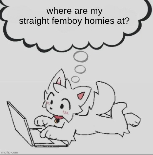 huh??? guh??? hwuh??? | where are my straight femboy homies at? | image tagged in huh guh hwuh | made w/ Imgflip meme maker