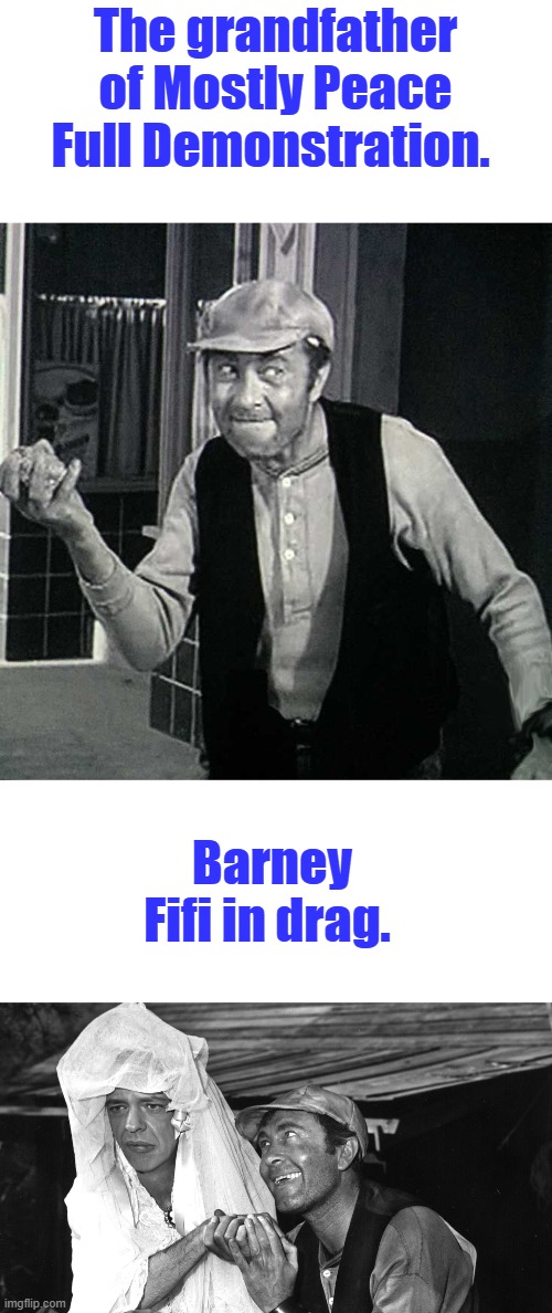 Well there you go. Politics TOO rejected | The grandfather of Mostly Peace Full Demonstration. Barney Fifi in drag. | made w/ Imgflip meme maker