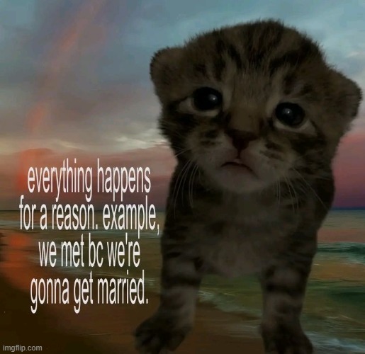 ok ok no more posting stuff ill be quiet | made w/ Imgflip meme maker