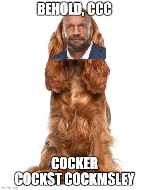 CCC | BEHOLD, CCC; COCKER COCKST COCKMSLEY | image tagged in wwe,triple h | made w/ Imgflip meme maker