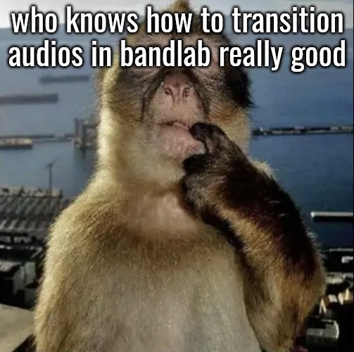 monkey thinking | who knows how to transition audios in bandlab really good | image tagged in monkey thinking | made w/ Imgflip meme maker