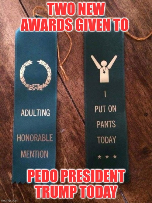 Pedo Awards | TWO NEW AWARDS GIVEN TO; PEDO PRESIDENT TRUMP TODAY | image tagged in trump,gop,maga,nazis,fascists,pedophile | made w/ Imgflip meme maker