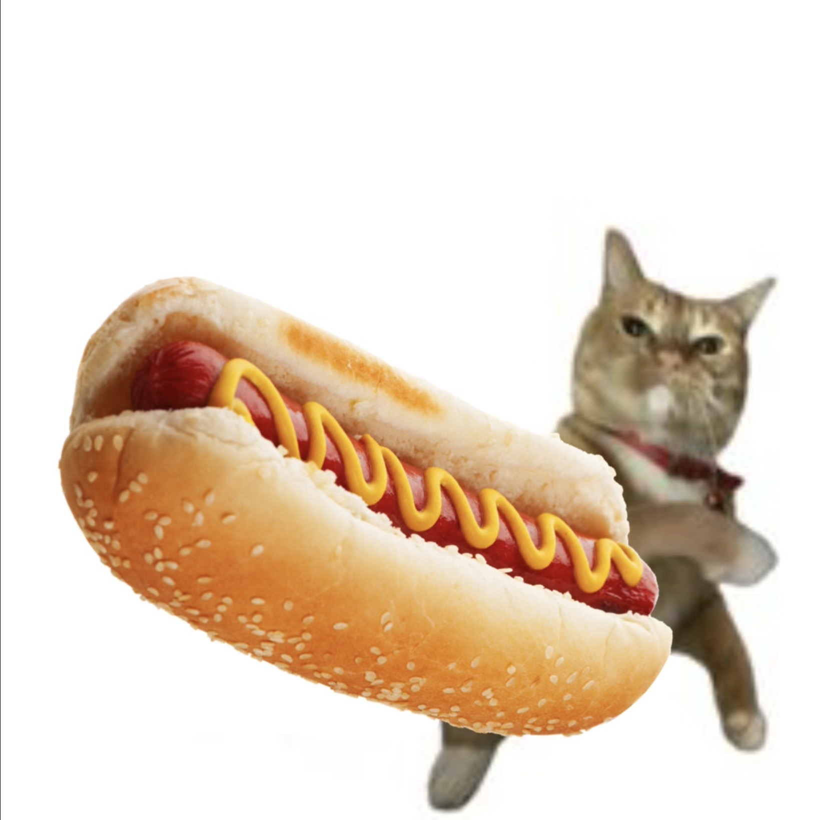 Hotdog Blank Meme Template