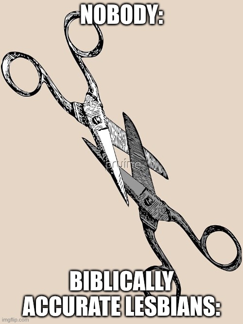 NOBODY:; BIBLICALLY ACCURATE LESBIANS: | made w/ Imgflip meme maker