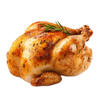 chicken Meme Template