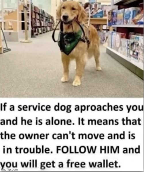 image tagged in memes,funny,dogs,disabled,wallet,life hack | made w/ Imgflip meme maker