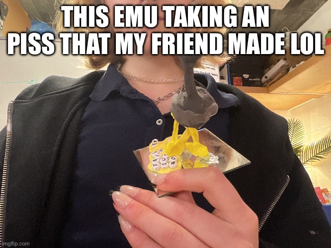 it say fall out boy on it lmafooo | THIS EMU TAKING AN PISS THAT MY FRIEND MADE LOL | made w/ Imgflip meme maker