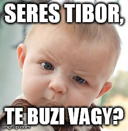Skeptical Baby Meme | SERES TIBOR, TE BUZI VAGY? | image tagged in memes,skeptical baby | made w/ Imgflip meme maker