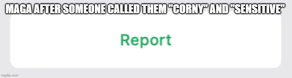 Disabled commenting...what a snowflake, Maga is not tough | MAGA AFTER SOMEONE CALLED THEM "CORNY" AND "SENSITIVE" | image tagged in report whatsapp button | made w/ Imgflip meme maker