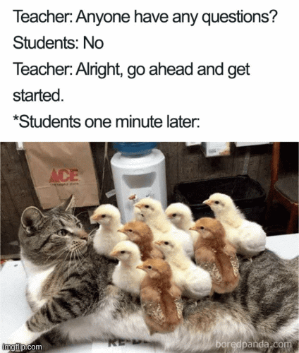 FR | image tagged in gifs | made w/ Imgflip images-to-gif maker