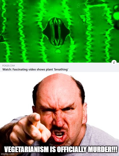 Vegans Kill! | VEGETARIANISM IS OFFICIALLY MURDER!!! | image tagged in angry man | made w/ Imgflip meme maker