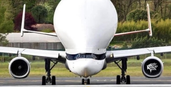 Custom Somali deportation plane Blank Meme Template