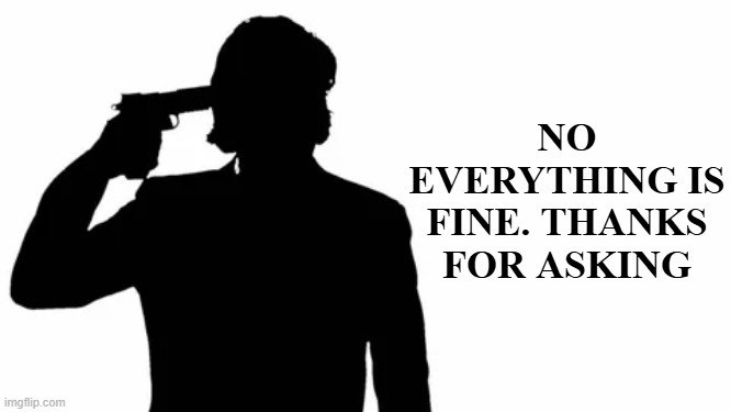 NO EVERYTHING IS FINE. THANKS FOR ASKING | made w/ Imgflip meme maker