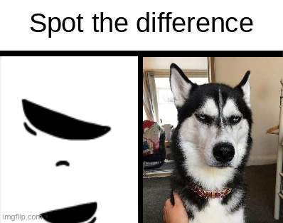 Spot the difference | image tagged in spot the difference | made w/ Imgflip meme maker