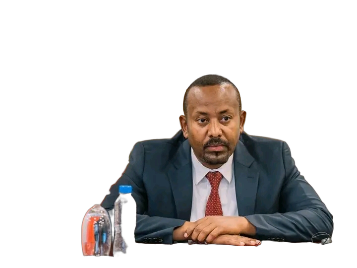 Laughing Blank Meme Template