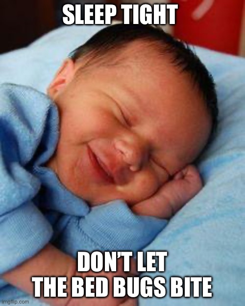 Sleep tight | SLEEP TIGHT; DON’T LET THE BED BUGS BITE | image tagged in sleeping baby laughing | made w/ Imgflip meme maker
