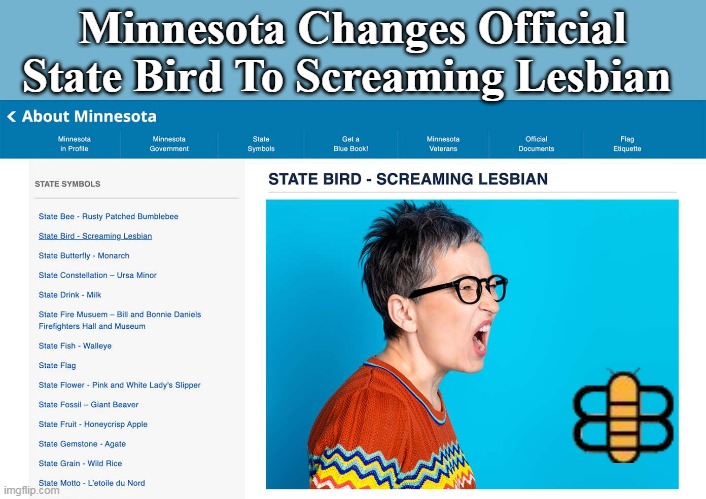 Minnesota Changes Official State Bird To Screaming Lesbian | made w/ Imgflip meme maker