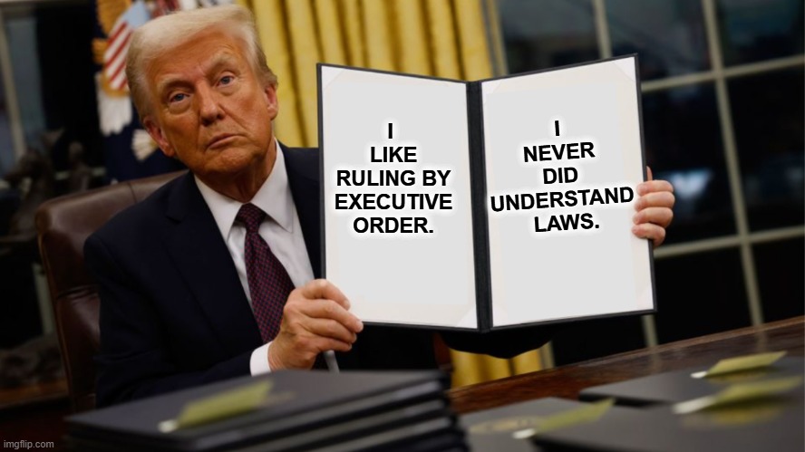 It shows. | I 
NEVER 
DID 
UNDERSTAND 
LAWS. I 
LIKE RULING BY EXECUTIVE ORDER. | image tagged in trump executive order 2025,trump,executive orders,fascist,dictator,laws | made w/ Imgflip meme maker