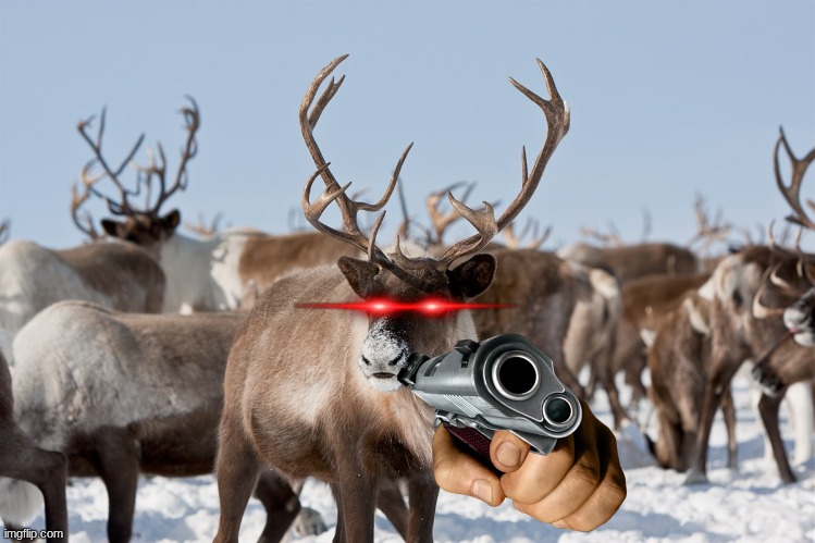 Reindeer | image tagged in reindeer | made w/ Imgflip meme maker