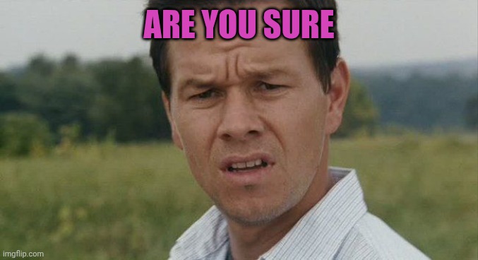 Mark Wahlburg confused | ARE YOU SURE | image tagged in mark wahlburg confused | made w/ Imgflip meme maker