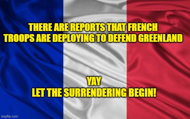 greenland | THERE ARE REPORTS THAT FRENCH TROOPS ARE DEPLOYING TO DEFEND GREENLAND; YAY
LET THE SURRENDERING BEGIN! | image tagged in french flag | made w/ Imgflip meme maker