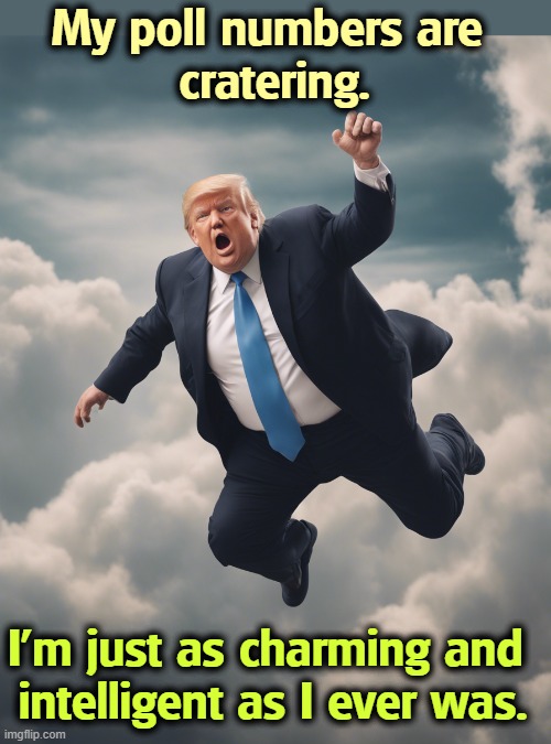 Trump and his job approval, both in freefall | My poll numbers are 
cratering. I'm just as charming and 
intelligent as I ever was. | image tagged in trump and his job approval both in freefall,trump,failure,job approval,polls,freefall | made w/ Imgflip meme maker