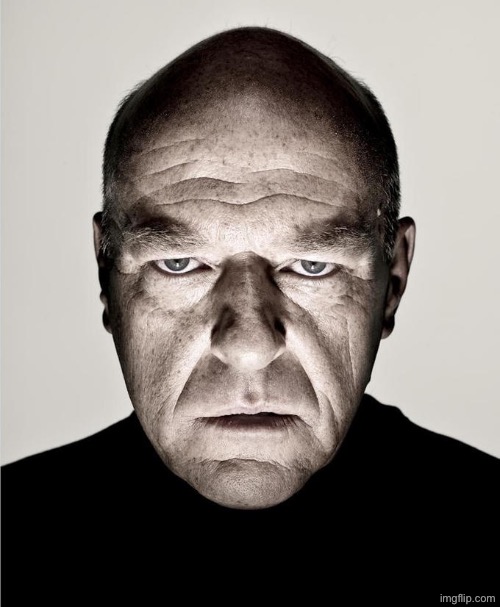 hank frowning | image tagged in hank frowning | made w/ Imgflip meme maker