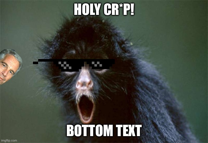 Holy Crap Monkey | HOLY CR*P! BOTTOM TEXT | image tagged in holy crap monkey | made w/ Imgflip meme maker