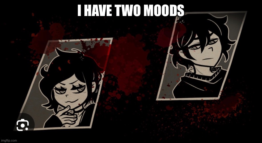 I have two moods | I HAVE TWO MOODS | image tagged in video games | made w/ Imgflip meme maker