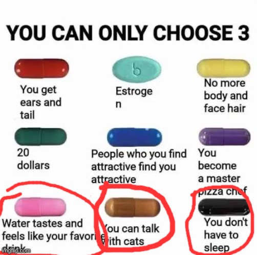 Am I late? | image tagged in you can only choose 3 | made w/ Imgflip meme maker