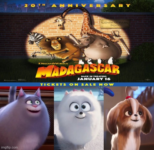 Chloe, Gidget and Daisy (The Secret Life of Pets) Loves 20th Anniversary | image tagged in dreamworks,illumination,the secret life of pets,madagascar,memes,crossover | made w/ Imgflip meme maker