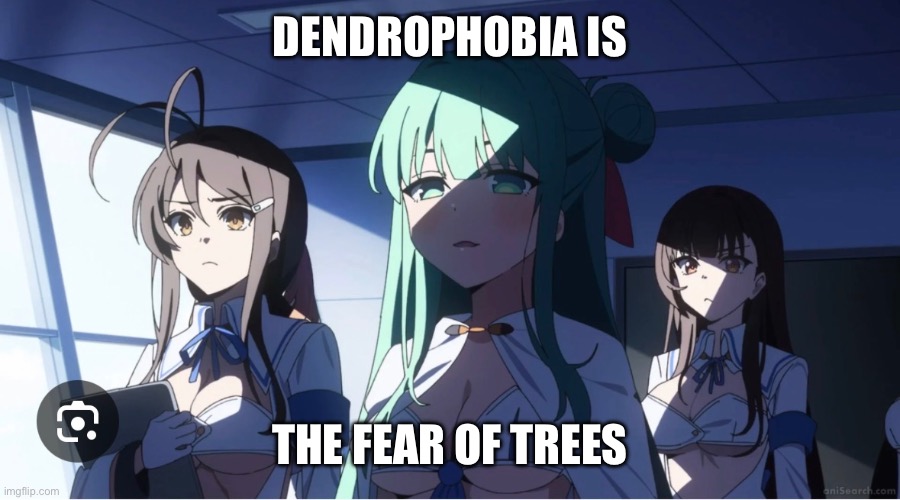 Fun fact | DENDROPHOBIA IS; THE FEAR OF TREES | made w/ Imgflip meme maker