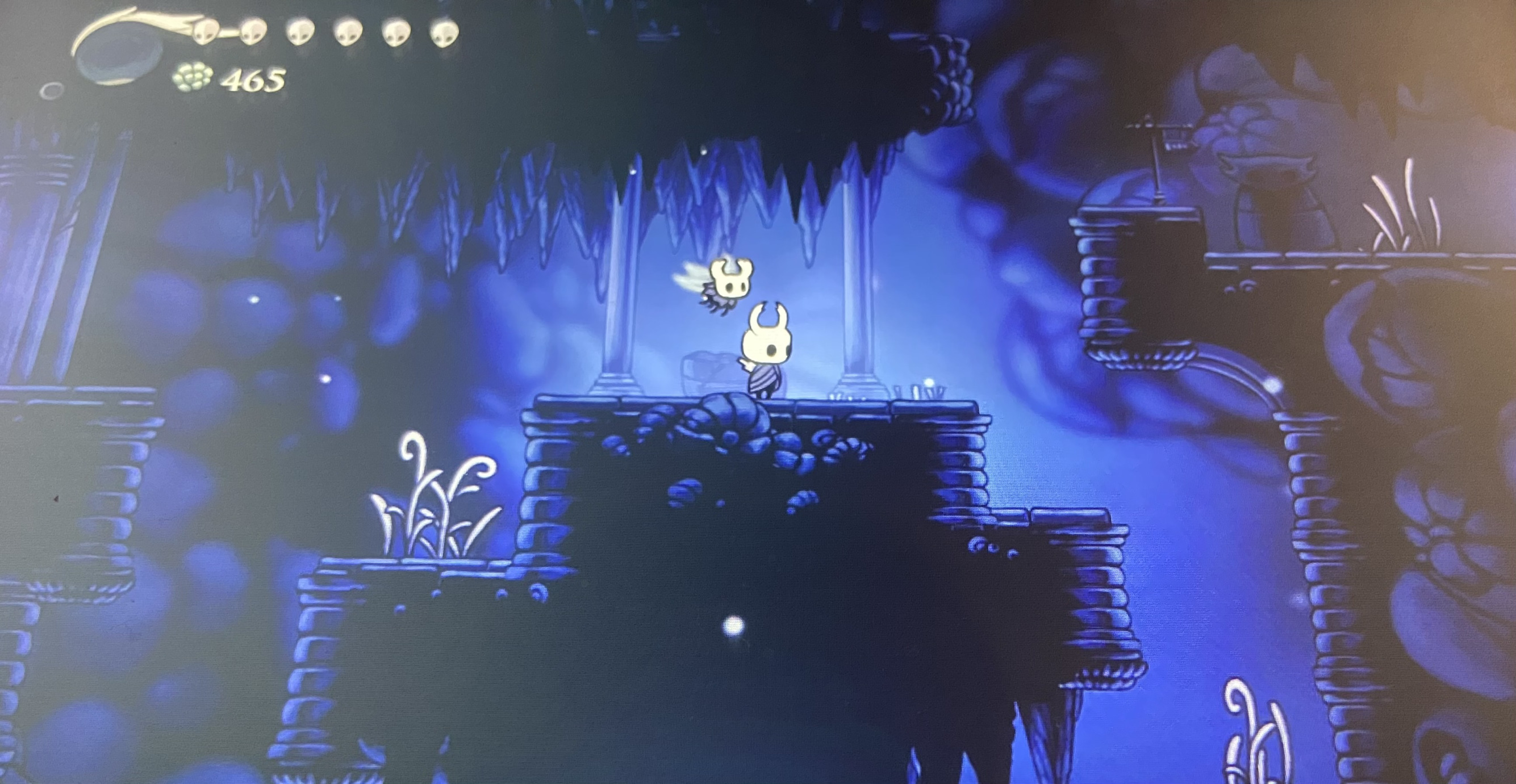 High Quality Giggle Shitter announcement Blank Meme Template