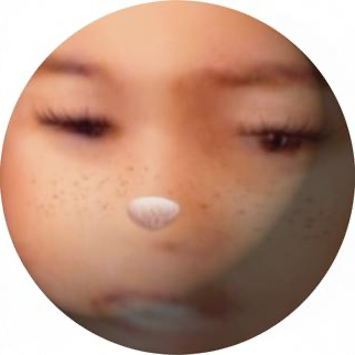 Zolaling Sphere facing other side Blank Meme Template