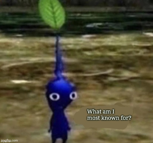 I forgot about this temp | What am I most known for? | image tagged in i'm ___ | made w/ Imgflip meme maker